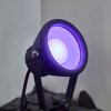 Sempach Spotlight trädgård LED Svart, 1-ljuskällor, Färgväxlare