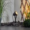 Sempach Spotlight trädgård LED Svart, 1-ljuskällor, Färgväxlare