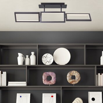 Brilliant Ranut Taklampa LED Svart, 3-ljuskällor