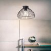 Brilliant Blacky Taklampa Svart, 1-ljuskällor