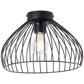 Brilliant Blacky Taklampa Svart, 1-ljuskällor