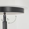 Busswil strålkastare, Golvlampa LED Svart, 2-ljuskällor