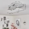 Liestal Taklampa LED Nickel matt, 2-ljuskällor