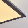 Salmi Taklampa, Panel LED Svart, Vit, 1-ljuskällor