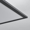 Salmi Taklampa, Panel LED Svart, Vit, 2-ljuskällor