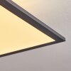 Salmi Taklampa, Panel LED Svart, Vit, 2-ljuskällor