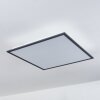 Salmi Taklampa, Panel LED Svart, Vit, 2-ljuskällor