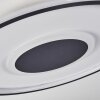 Kolo Taklampa LED Vit, 1-ljuskällor, Fjärrkontroll