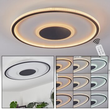 Kolo Taklampa LED Antracit, Vit, 1-ljuskällor, Fjärrkontroll