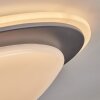 Wil Taklampa LED Antracit, Vit, 1-ljuskällor
