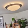 Wil Taklampa LED Antracit, Vit, 1-ljuskällor