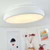 Rhone Taklampa LED Vit, 1-ljuskällor, Färgväxlare