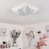 Buochs Taklampa LED Vit, 1-ljuskällor