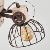 Orny Vägglampa, Väggspotlight Brun, Naturfärger, 1-ljuskällor