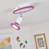 Cabri Taklampa, Takstrålkastare Krom, Lila, Vit, 1-ljuskällor