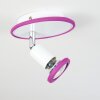 Cabri Taklampa, Takstrålkastare LED Krom, Lila, Vit, 1-ljuskällor Cabri Taklampa, Takstrålkastare LED Krom, Lila, Vit, 1-ljuskällor