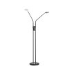 Honsel Lampor Dent Golvlampa, Golvlampa LED Svart, 2-ljuskällor