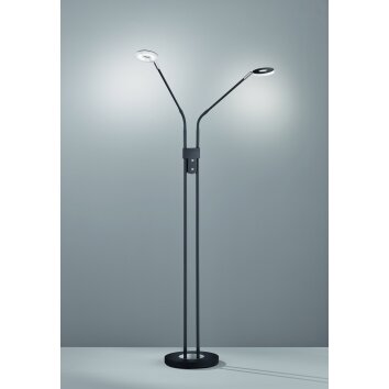 Honsel Lampor Dent Golvlampa LED Svart, 2-ljuskällor