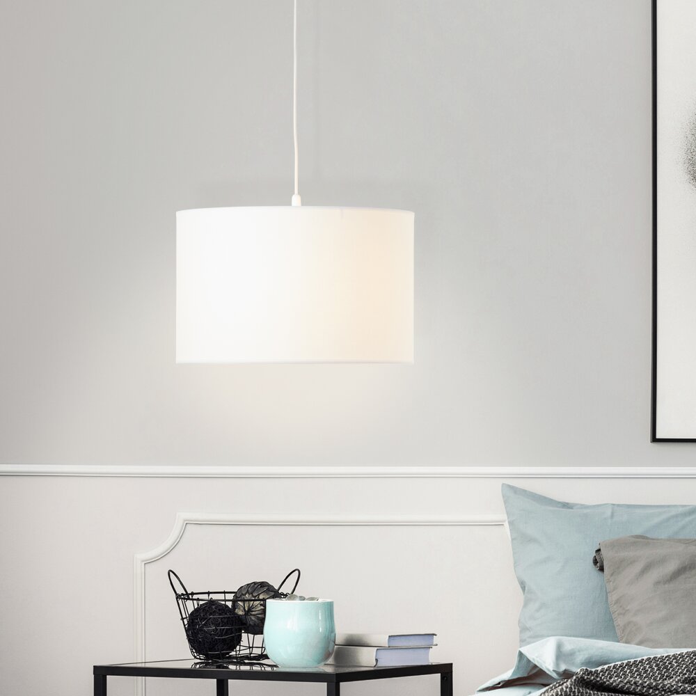 Brilliant Esher Pendelbelysning Silver, 1-ljuskällor main product photo