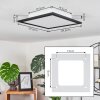 Wilderswil Taklampa, Panel LED Vit, 1-ljuskällor