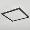 Wilderswil Taklampa, Panel LED Vit, 1-ljuskällor