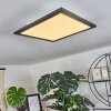 Wilderswil Taklampa, Panel LED Vit, 1-ljuskällor