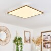 Barasat Taklampa, Panel LED Vit, 1-ljuskällor