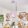 Roseway Pendellampa Rosa, 1-ljuskällor