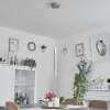 Freshwater Pendellampa LED Aluminium, 1-ljuskällor