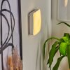 Hutton Vägglampa LED Nickel matt, 1-ljuskällor