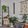 Freshwater Pendellampa LED Svart, 1-ljuskällor