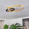 Deroche Taklampa LED Guld, Svart, 1-ljuskällor