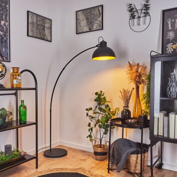 Parola Golvlampa, Läslampa, Båglampor Svart, 1-ljuskällor