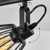 Albreda Taklampa, Takstrålkastare Svart, 3-ljuskällor