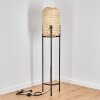 Quinto Golvlampa Svart, 1-ljuskällor