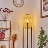 Quinto Golvlampa Svart, 1-ljuskällor