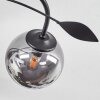 Barasat Taklampa LED Svart, 4-ljuskällor