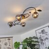 Barasat Taklampa LED Svart, 4-ljuskällor