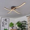 Rheinfelden Taklampa LED Svart, 1-ljuskällor