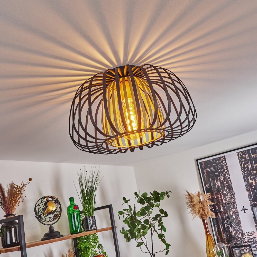 Dudignac Taklampa Svart, 1-ljuskällor main product photo