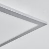 Ringuelet Taklampa, Panel LED Vit, 1-ljuskällor, Fjärrkontroll