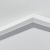 Ringuelet Taklampa, Panel LED Vit, 1-ljuskällor, Fjärrkontroll