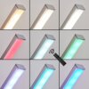 Minacar Golvlampa LED Nickel matt, 1-ljuskällor, Fjärrkontroll, Färgväxlare