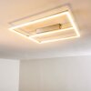 Rauma Taklampa LED Nickel matt, 1-ljuskällor