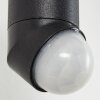 Theux vägglampa utomhus Guld, Svart, 1-ljuskällor, Rörelsedetektor