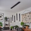 Freshwater Pendelbelysning LED Svart, 5-ljuskällor