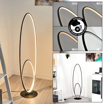 Harpeth Golvlampa, Golvlampa LED Svart, 1-ljuskällor