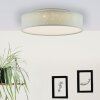 Brilliant Baska Taklampa LED Silver, 1-ljuskällor
