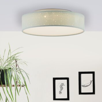 Brilliant Baska Taklampa LED Silver, 1-ljuskällor Brilliant Baska Taklampa LED Silver, 1-ljuskällor