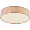 Brilliant Baska Taklampa LED Silver, 1-ljuskällor